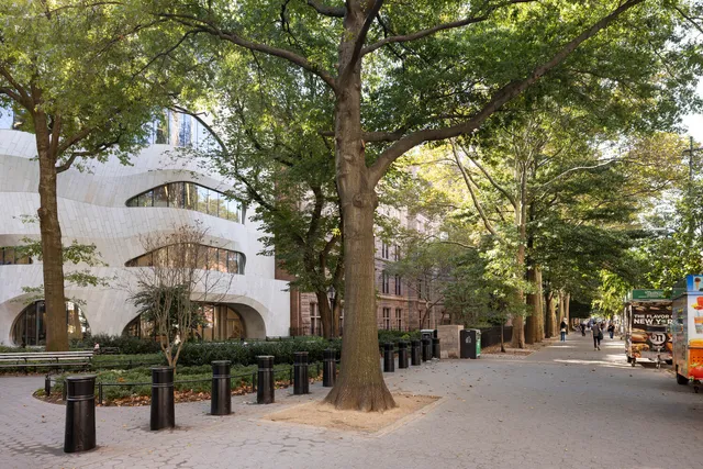 a bathroom with a granite countertop sink mirror and toilet