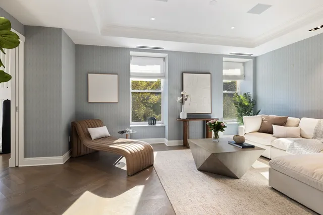 a living room with furniture and a potted plant