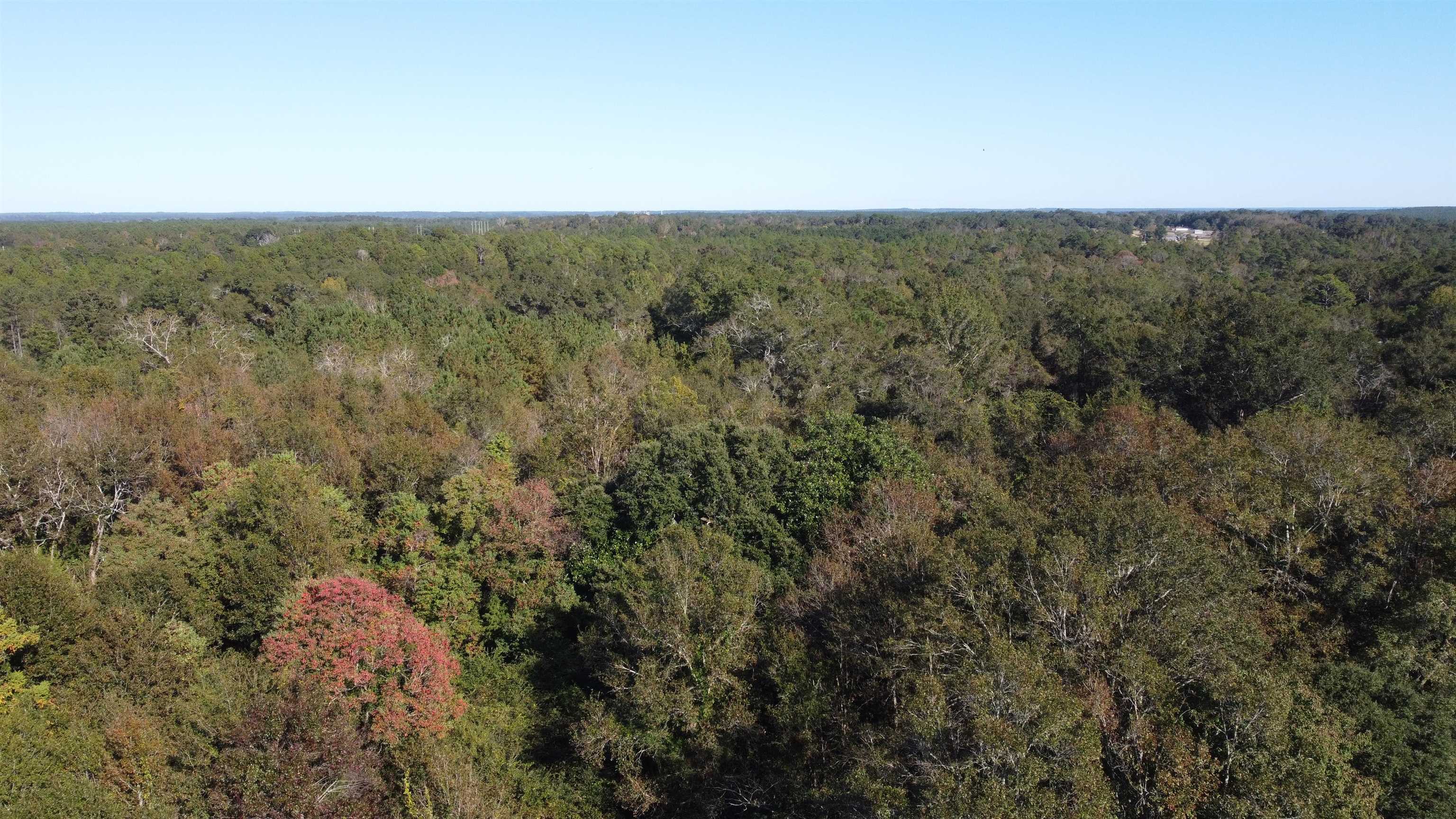 0 Cowpen Creek Road Atmore, AL 36502 - Photo 13 of 21