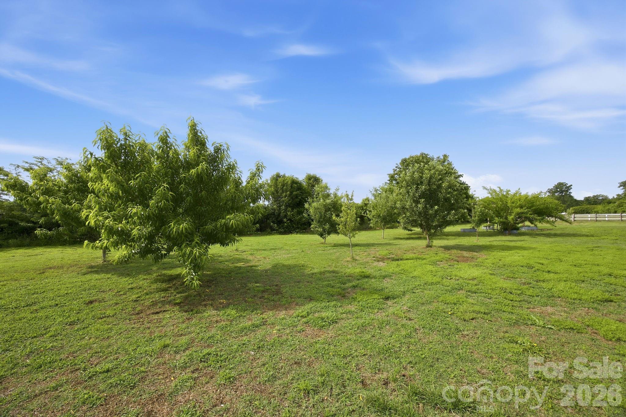 3480 Skyline Road Rock Hill, SC 29730 - Photo 34 of 40 a backyard of a house with lots of green space and fog