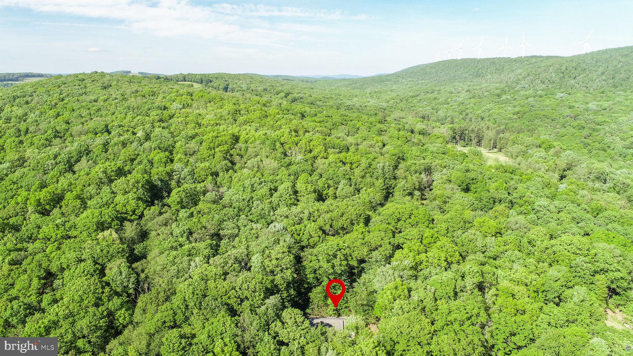 1256 Boiling Spring Road Oakland, MD 21550 - Photo 41 of 43