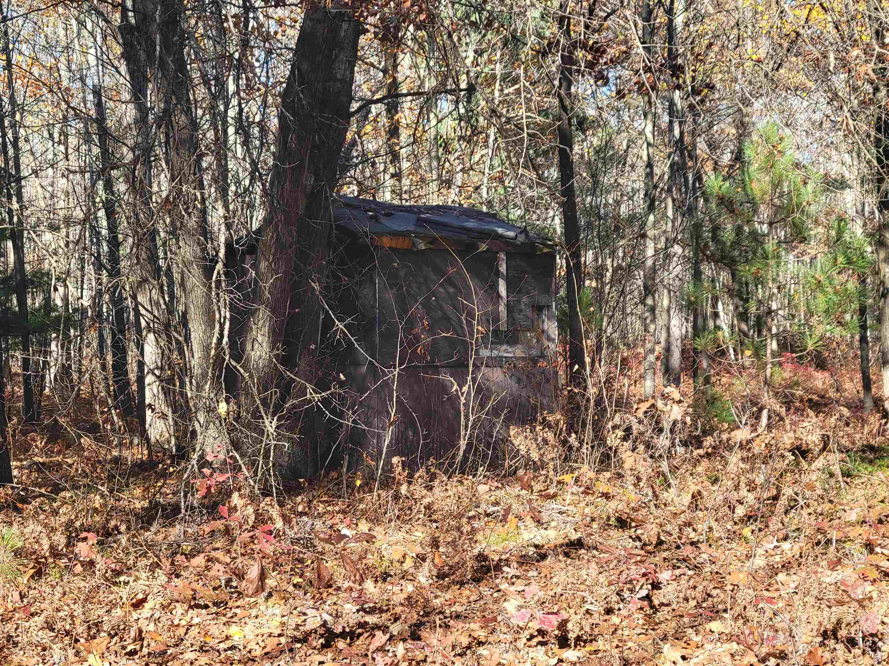 3385 Jones Road Rhodes, MI 48652 - Photo 53 of 56