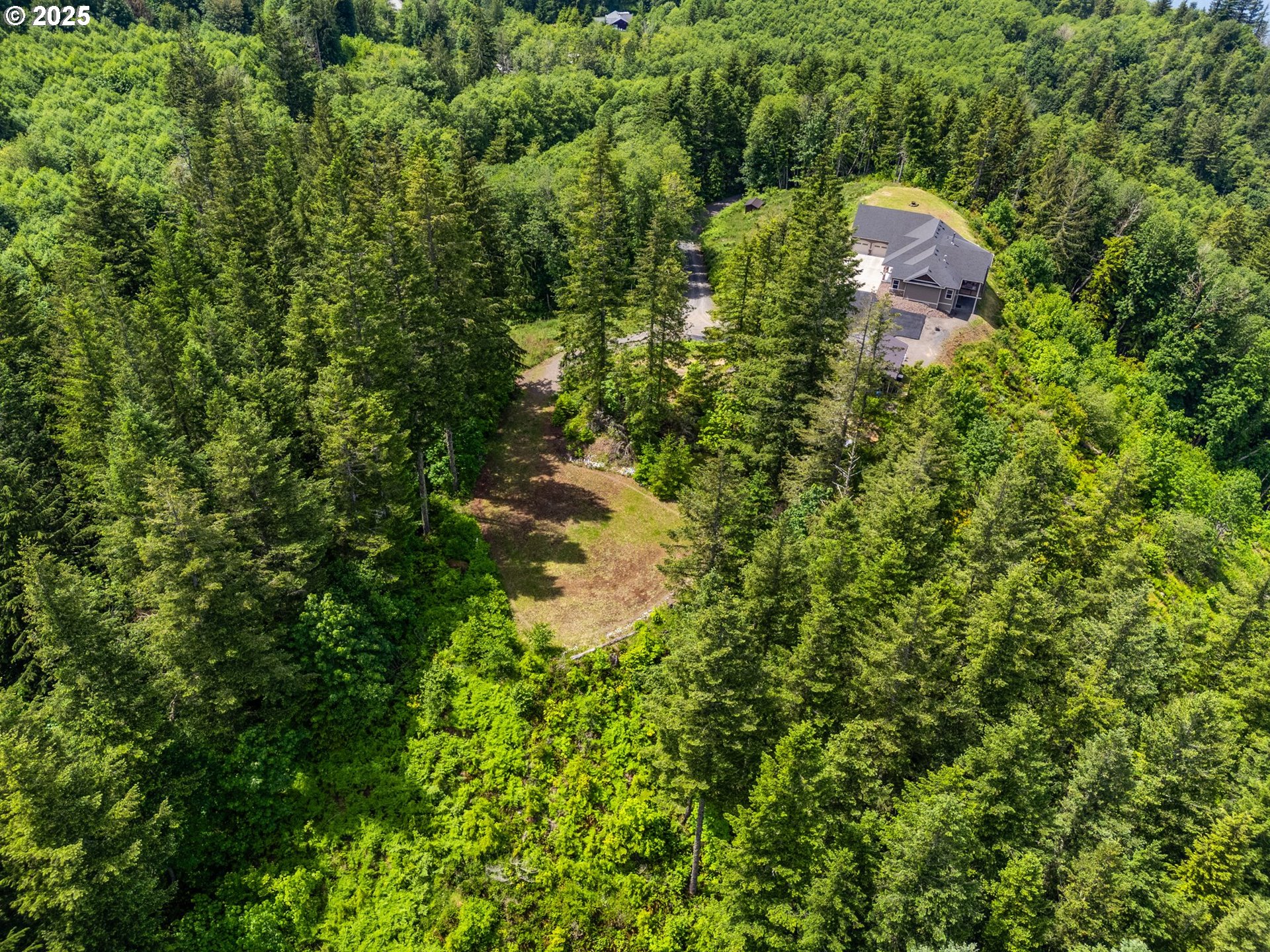 143 Meadow Ridge Way Mossyrock, WA 98564 - Photo 11 of 13