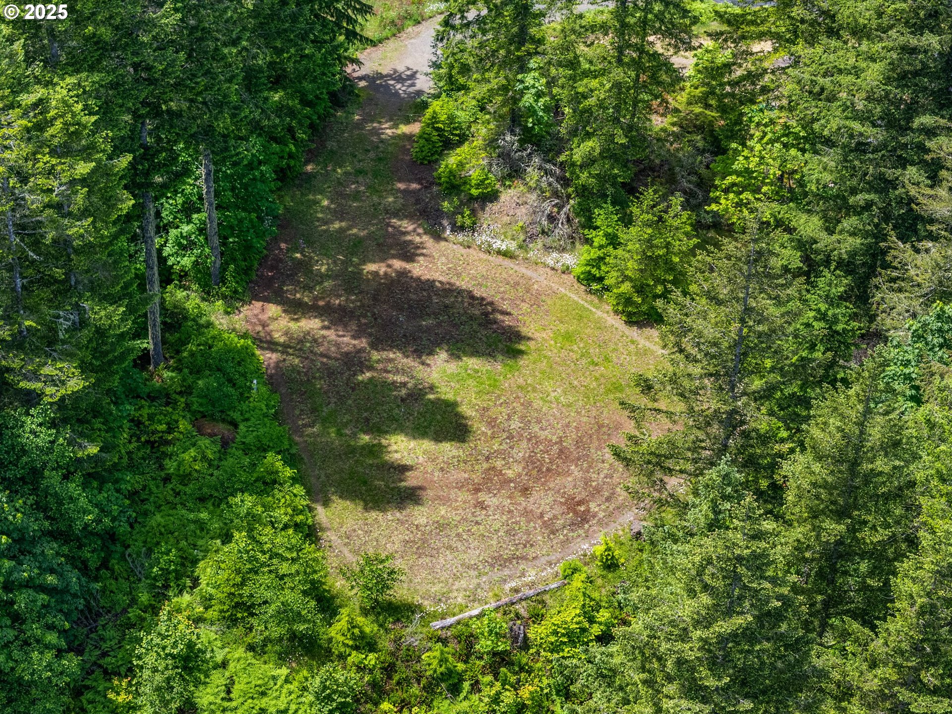 143 Meadow Ridge Way Mossyrock, WA 98564 - Photo 12 of 13