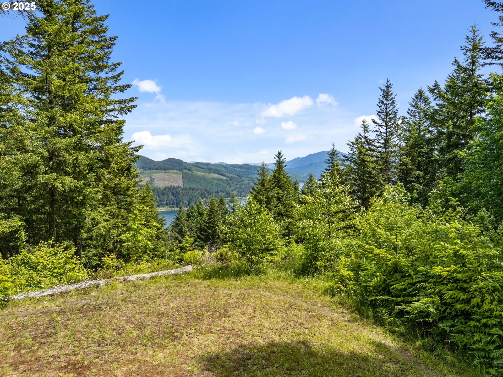 143 Meadow Ridge Way Mossyrock, WA 98564 - Photo 13 of 13