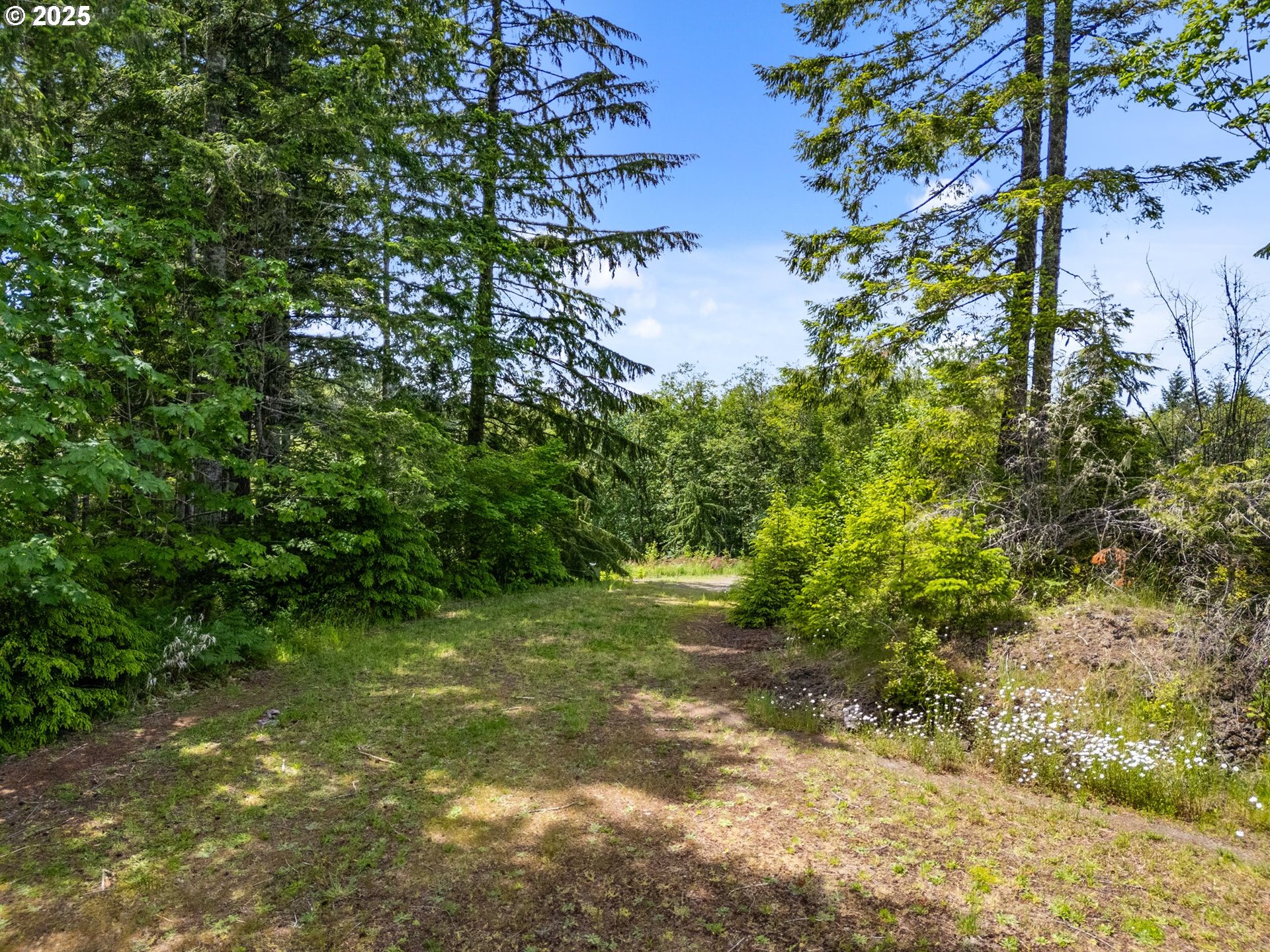 143 Meadow Ridge Way Mossyrock, WA 98564 - Photo 2 of 13