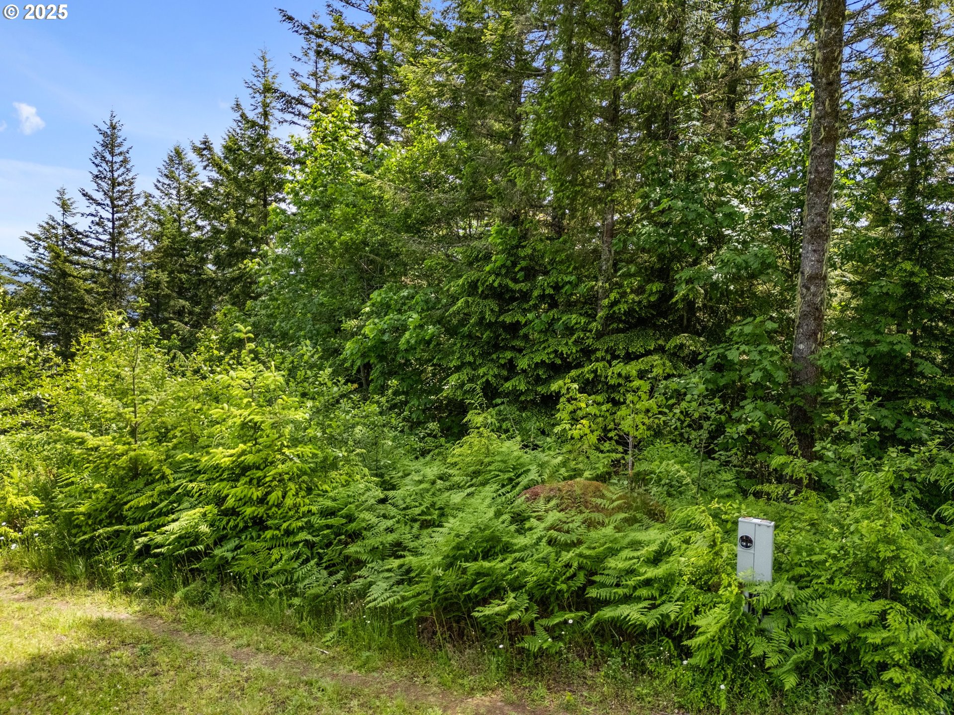 143 Meadow Ridge Way Mossyrock, WA 98564 - Photo 3 of 13