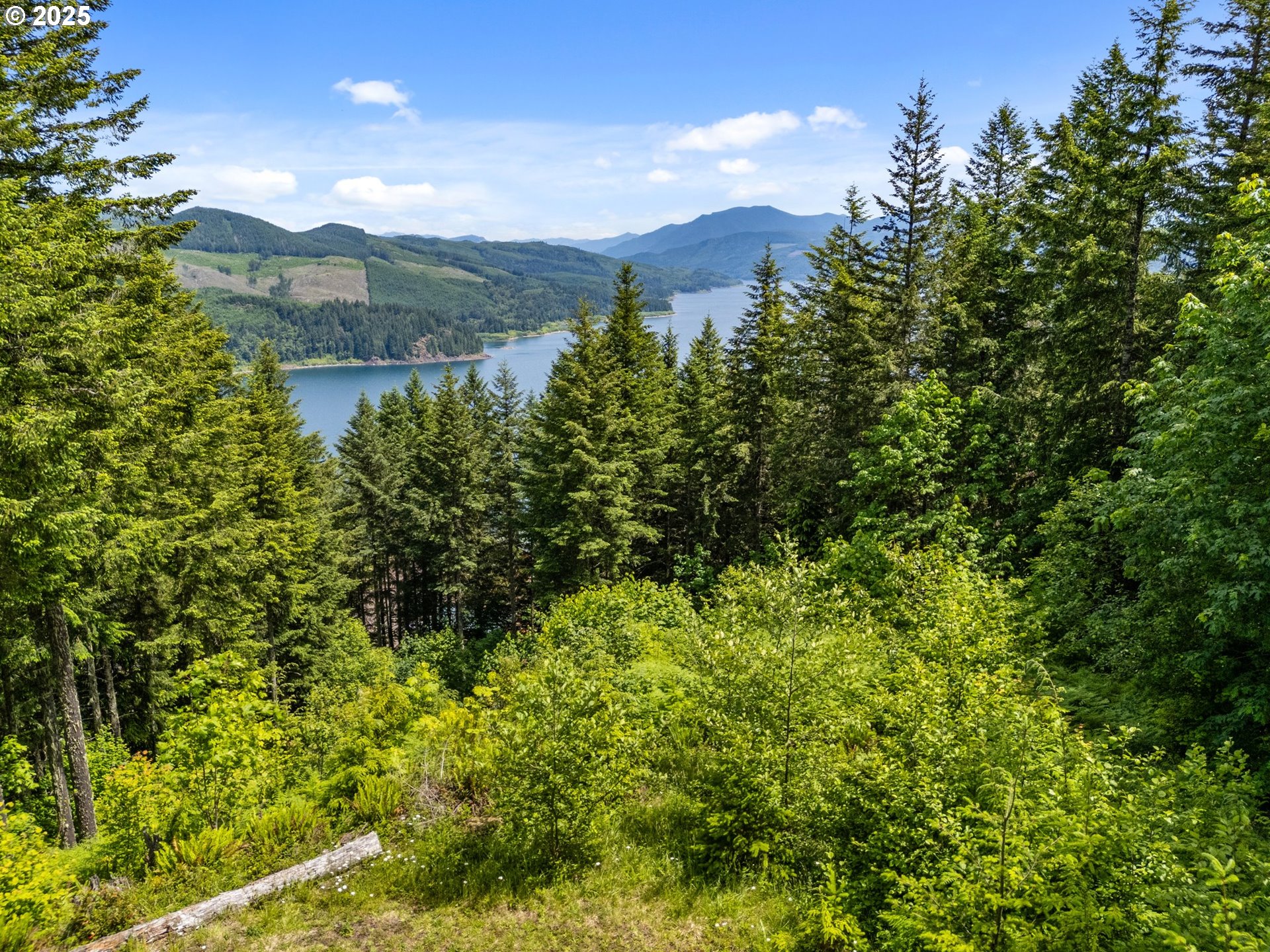 143 Meadow Ridge Way Mossyrock, WA 98564 - Photo 4 of 13