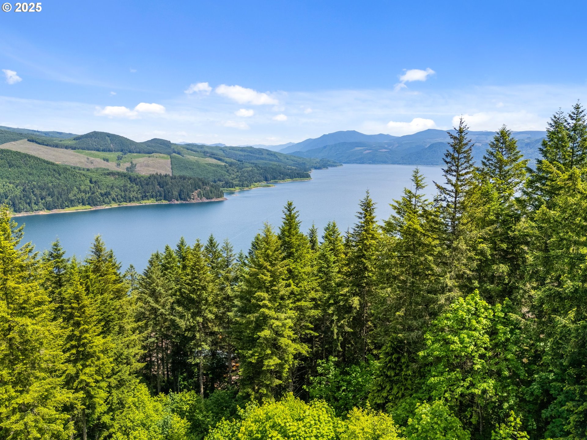 143 Meadow Ridge Way Mossyrock, WA 98564 - Photo 5 of 13