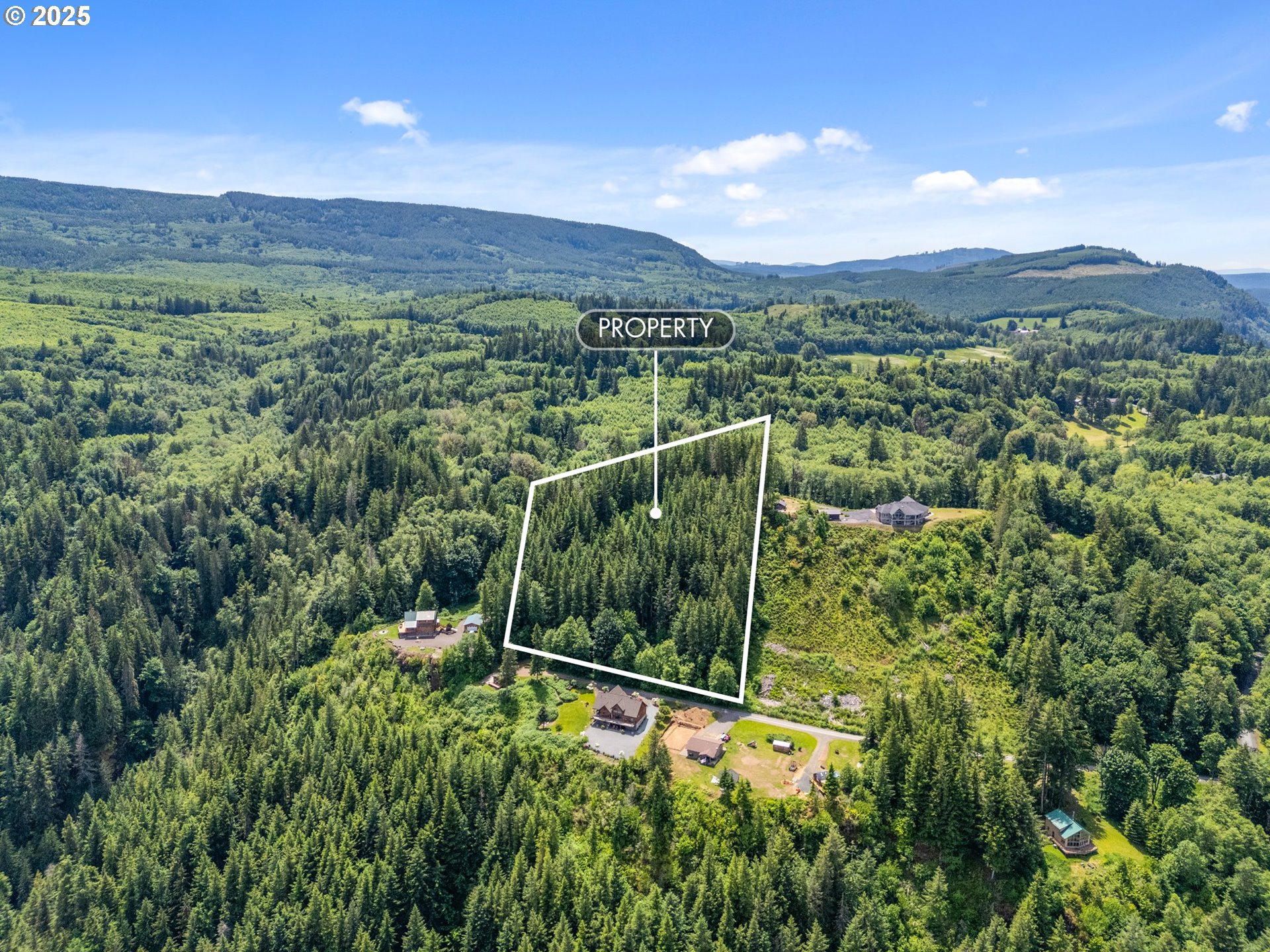 143 Meadow Ridge Way Mossyrock, WA 98564 - Photo 8 of 13