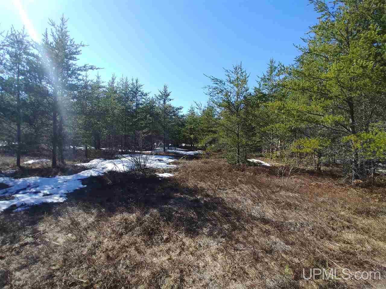 Tbd Tbd Millyard Road Little Lake, MI 49833 - Photo 3 of 8