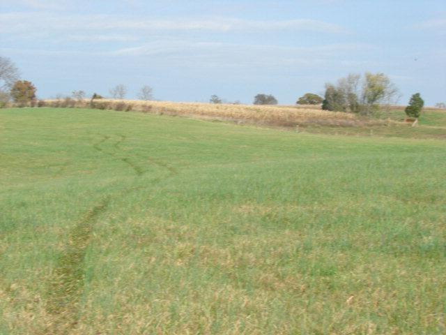 0 Ralph Park East Richmond, KY 40475 - Photo 35 of 37 Photo 35