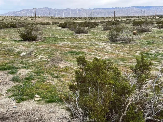 a view of a lake with a mountain