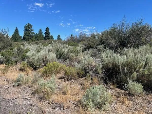 $9,000 | Wrightwood, Chiloquin, OR 97624