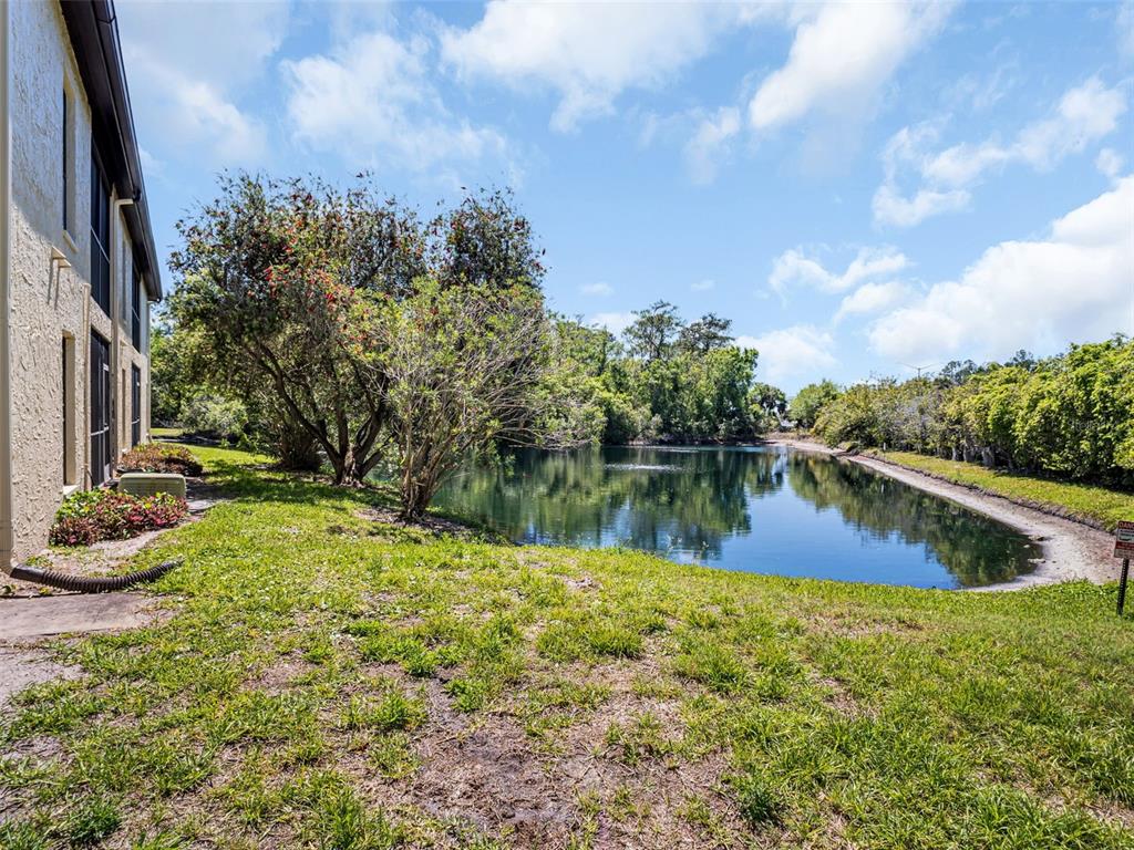 1801 East Lake Road South, Unit 20C Palm Harbor, FL 34685 - Photo 36 of 56 a view of a lake with a yard
