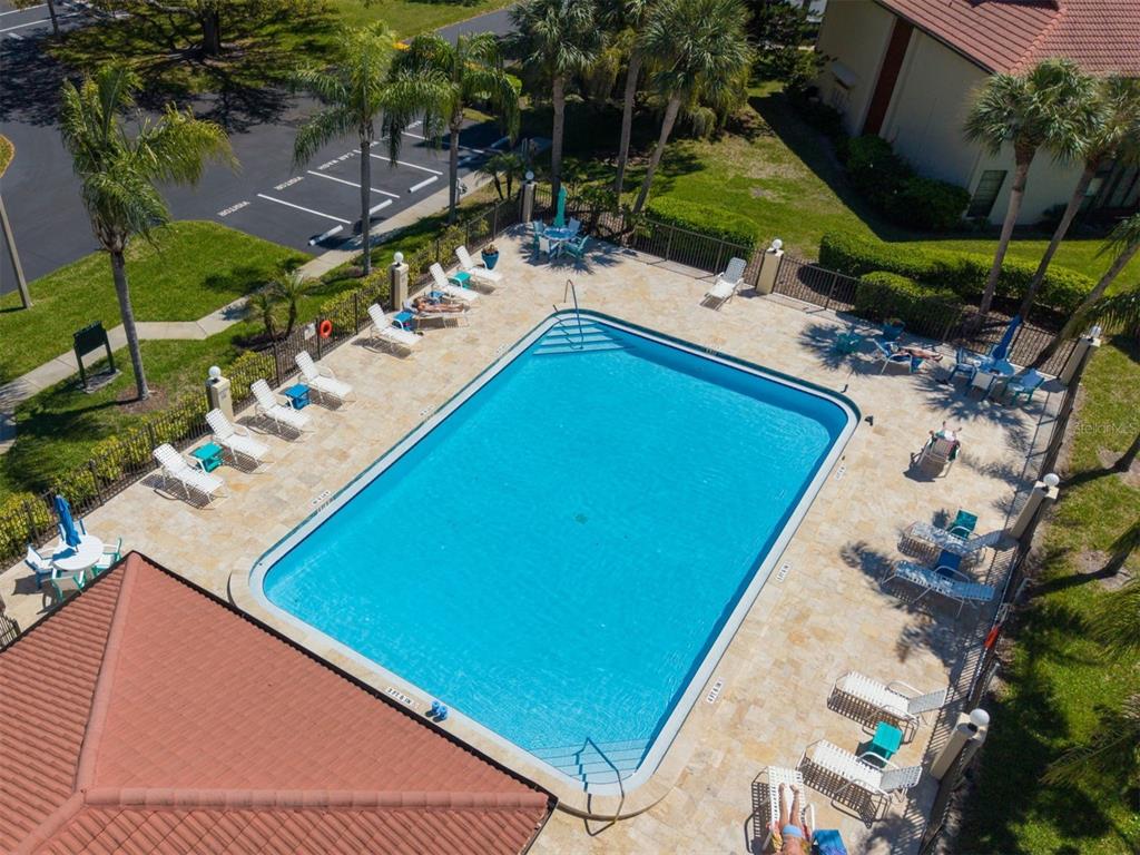 1801 East Lake Road South, Unit 20C Palm Harbor, FL 34685 - Photo 48 of 56
