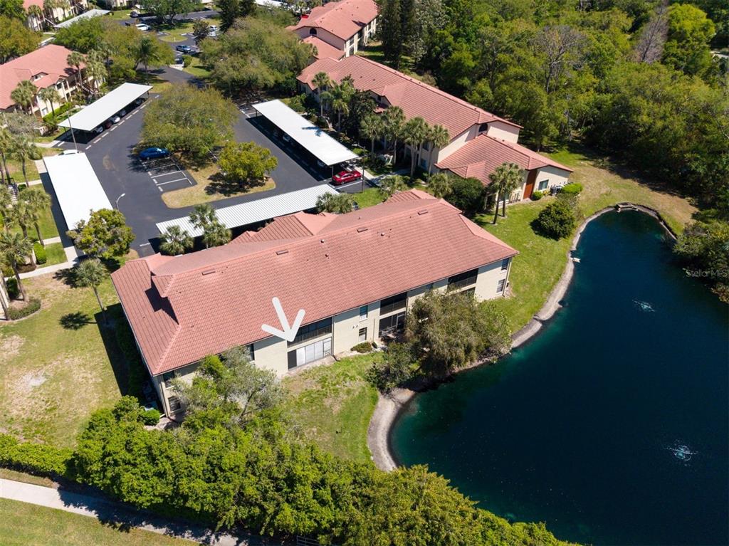 1801 East Lake Road South, Unit 20C Palm Harbor, FL 34685 - Photo 50 of 56 an aerial view of a house with garden space and street view
