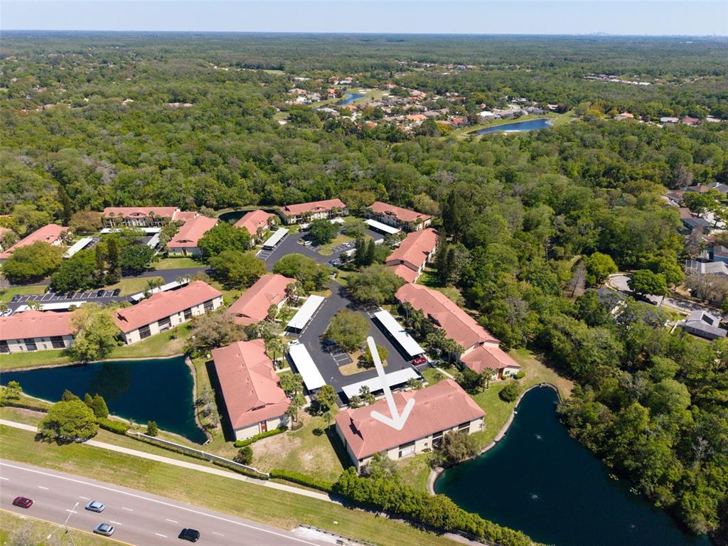 1801 East Lake Road South, Unit 20C Palm Harbor, FL 34685 - Photo 51 of 56 an aerial view of residential houses with outdoor space