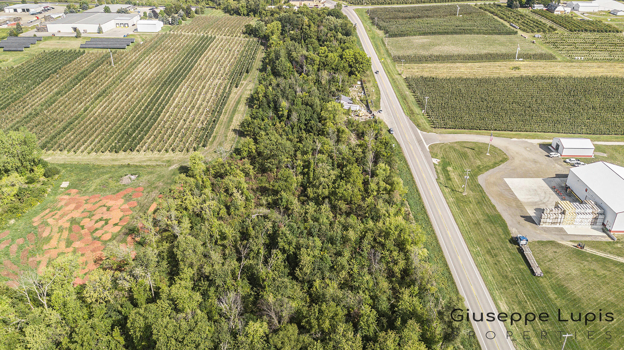 8251 Fruit Ridge Avenue Northwest Sparta, MI 49345 - Photo 9 of 12 Aerial
