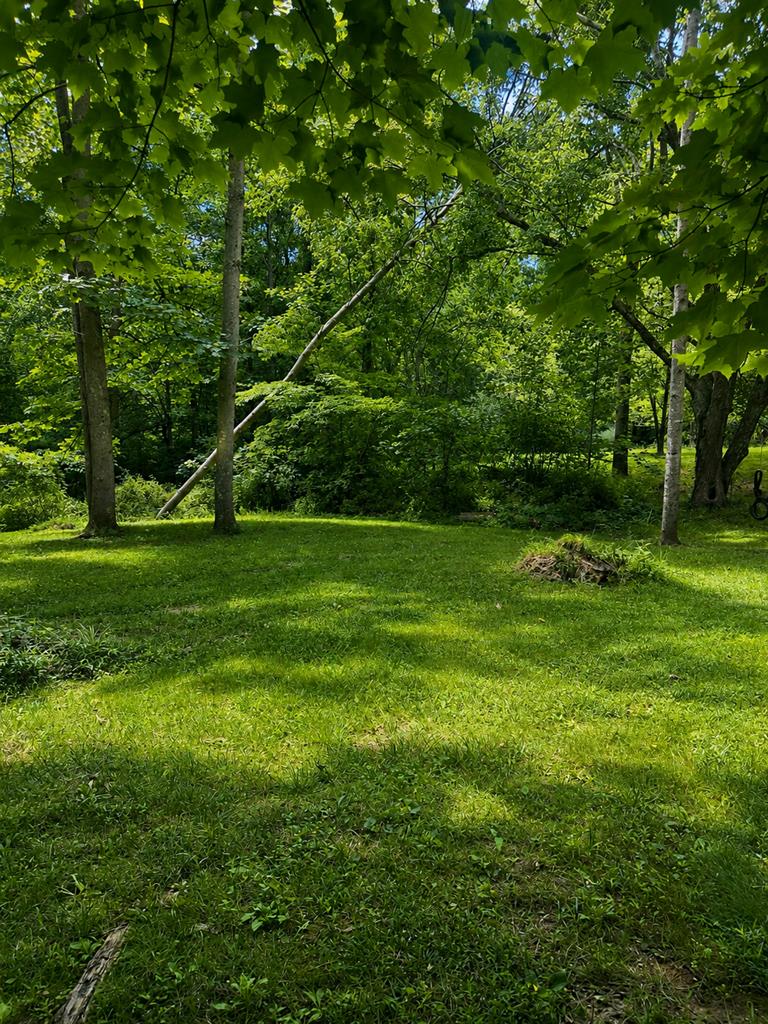 447 Bull Run Road Beaver, OH 45613 - Photo 25 of 29 Gallery Image 25