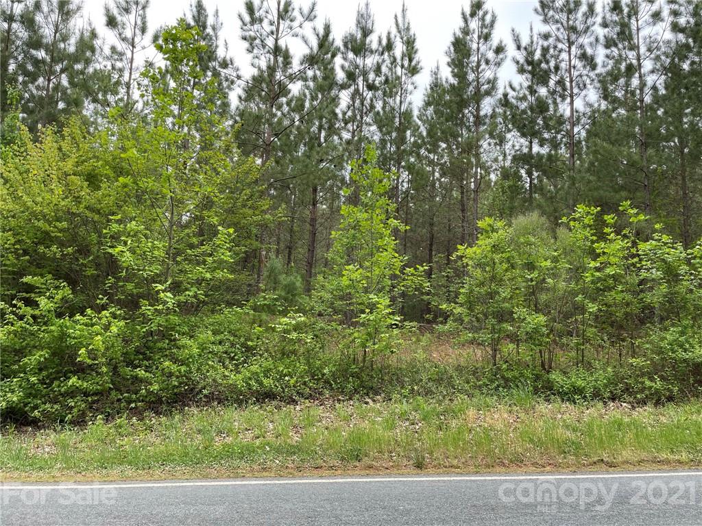 10300 Fink Road Mount Pleasant, NC 28124 - Photo 1 of 5 a view of a yard