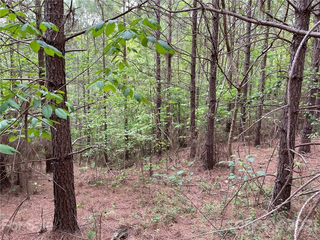 10300 Fink Road Mount Pleasant, NC 28124 - Photo 2 of 5 a backyard of a house with lots of green space