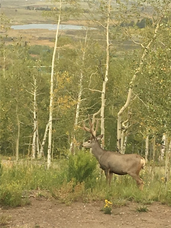 742 Lumberjack Road Fairplay, CO 80440 - Photo 28 of 35 a bathroom with a shower