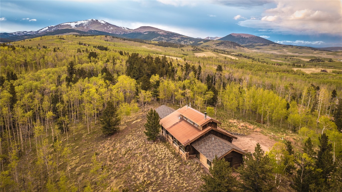 742 Lumberjack Road Fairplay, CO 80440 - Photo 3 of 35 a view of a yard with a mountain