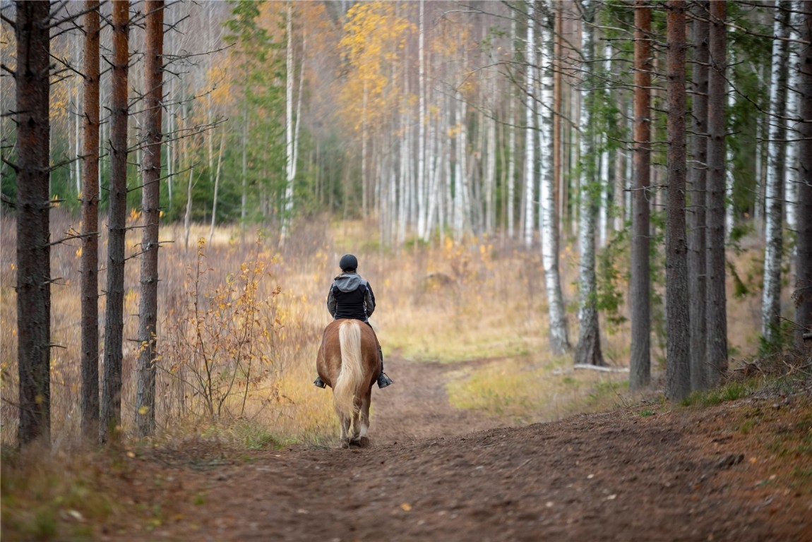 742 Lumberjack Road Fairplay, CO 80440 - Photo 32 of 35 a view of outdoor space with garden