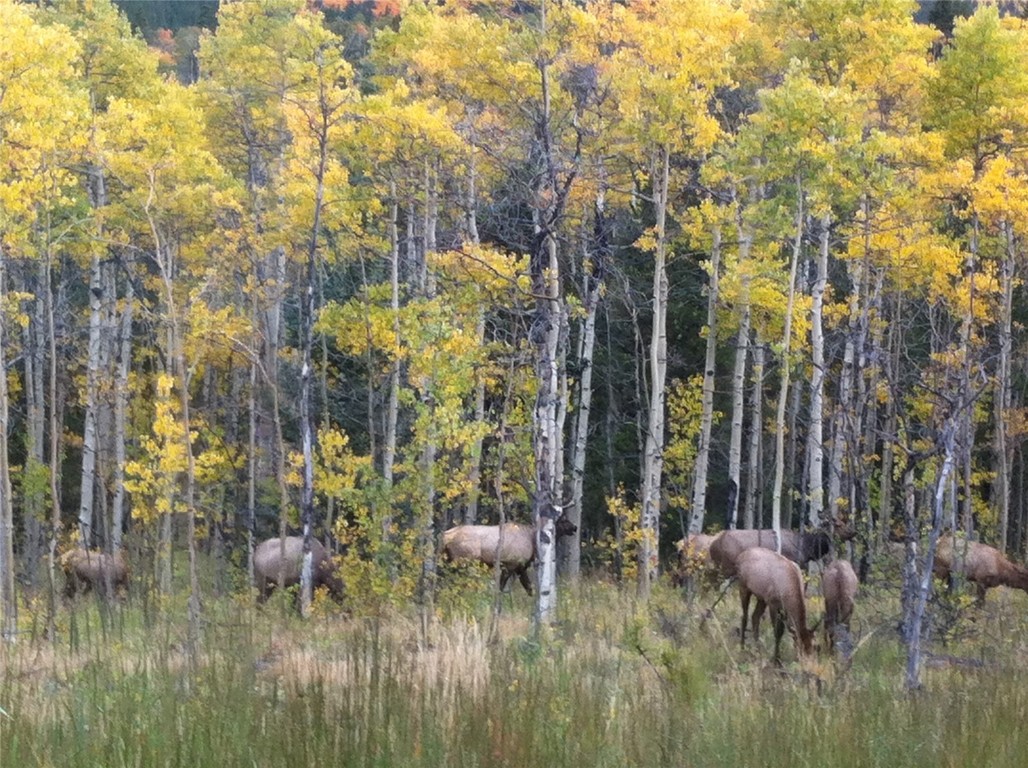 742 Lumberjack Road Fairplay, CO 80440 - Photo 33 of 35 a view of a lake view