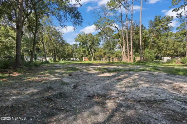 a view of a park with large trees