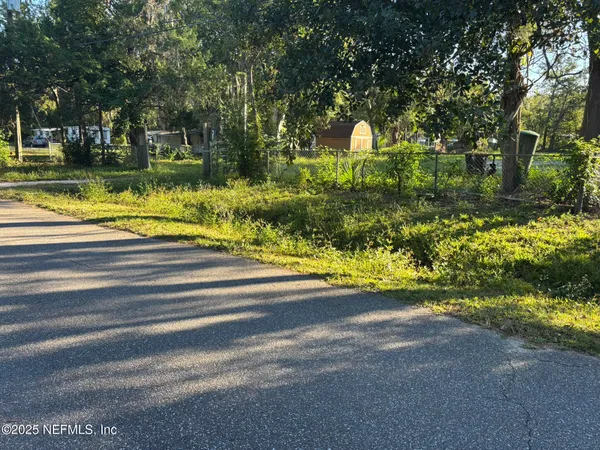 a view of a yard with large trees