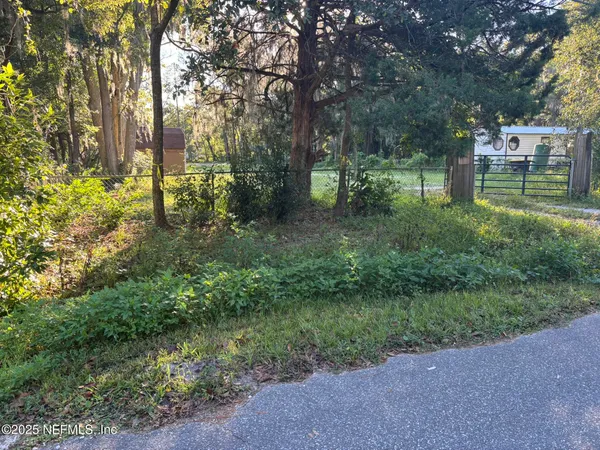 a view of a park with large trees