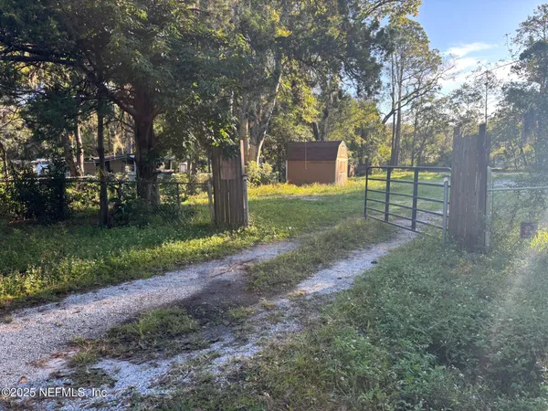 a view of a yard with plants and trees