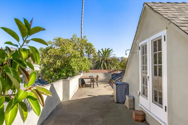 a view of potted plants with sky view