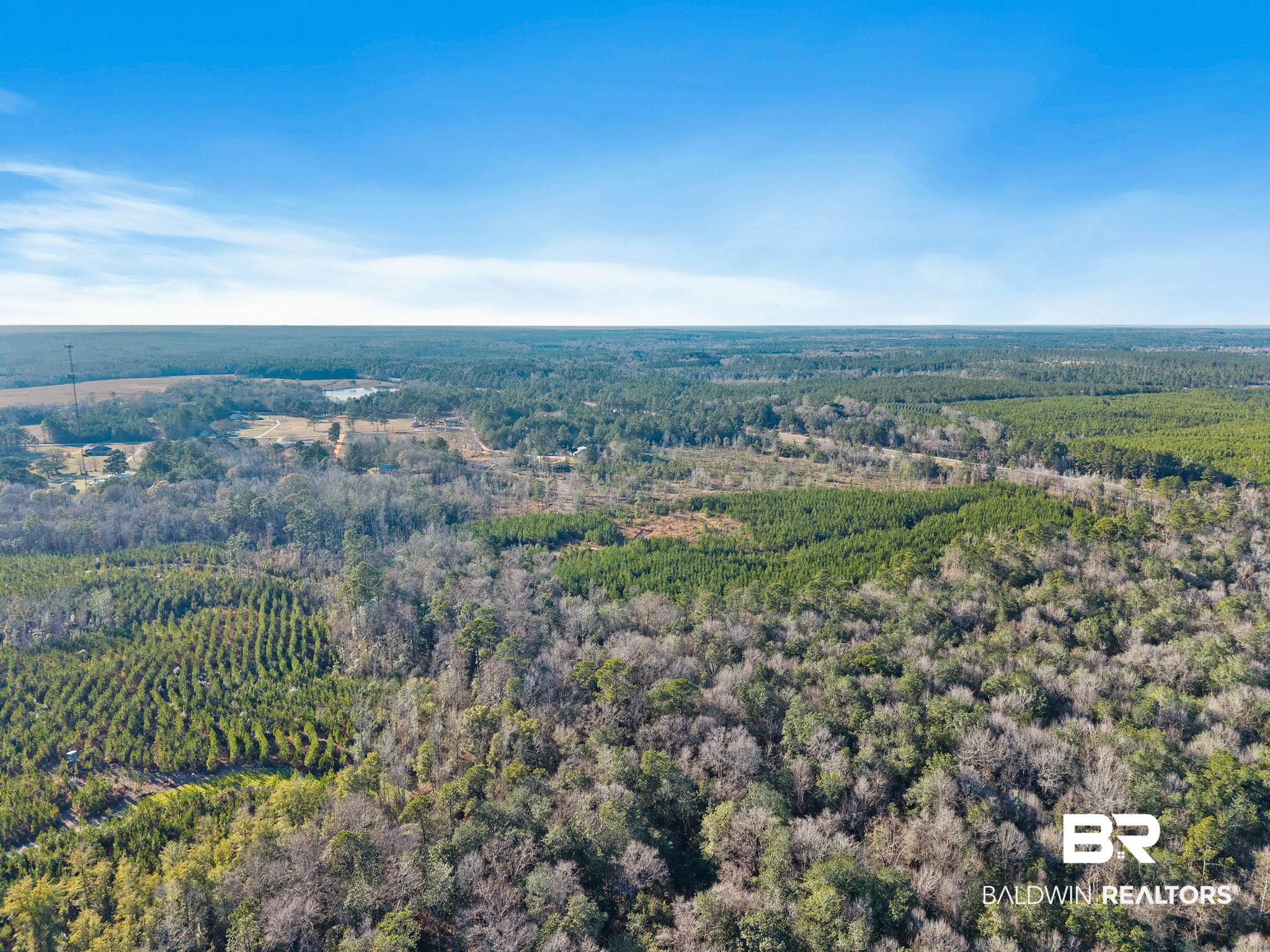 55750 Lottie Road Perdido, AL 36562 - Photo 3 of 84 Aerial overview of property's location featuring a heavily wooded area