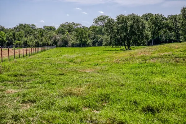 a view of a field with a trees in the background