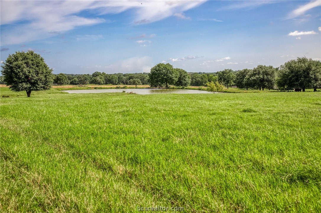 18581 William Penn Road Washington, TX 77880 - Photo 38 of 49 a view of a big yard with plants and large trees