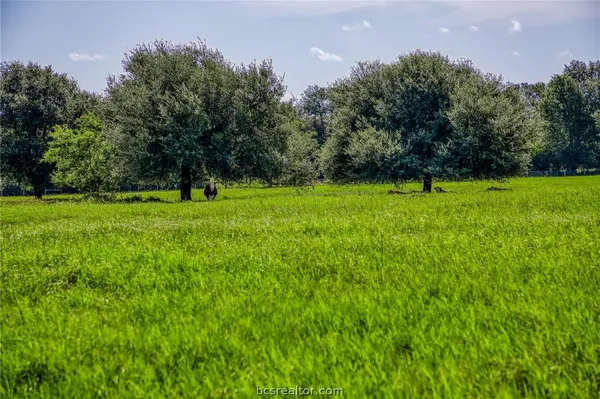 a view of field with trees in the background
