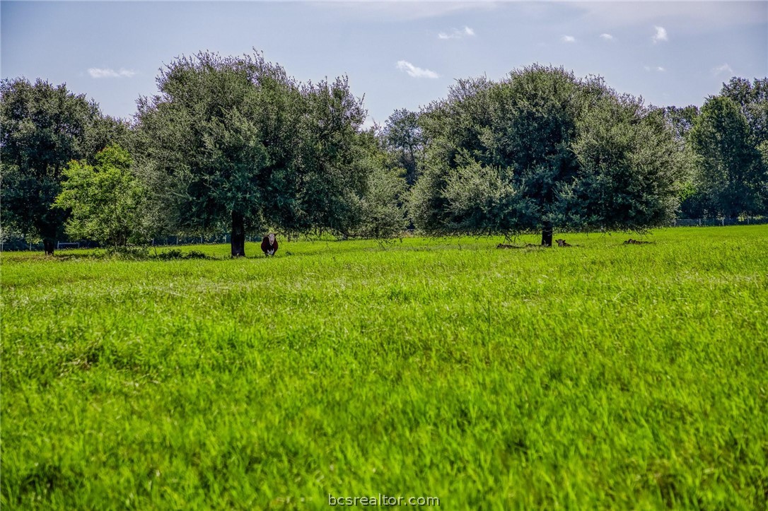 18581 William Penn Road Washington, TX 77880 - Photo 39 of 49 a view of field with trees in the background