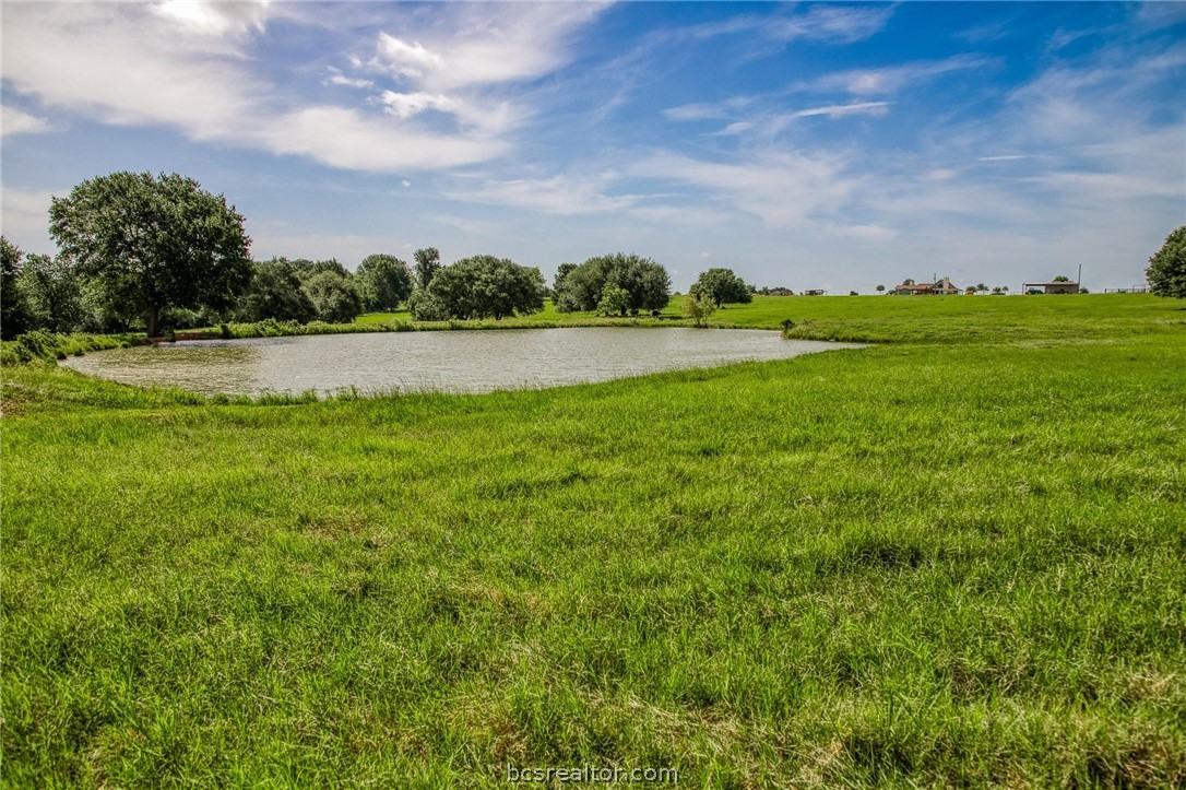 18581 William Penn Road Washington, TX 77880 - Photo 41 of 49 a view of yard with green space