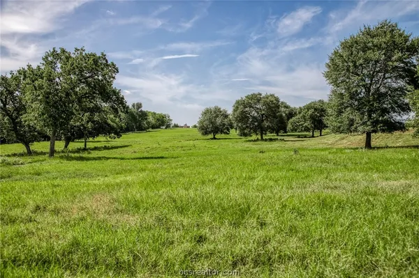 a view of a green field with trees in the background