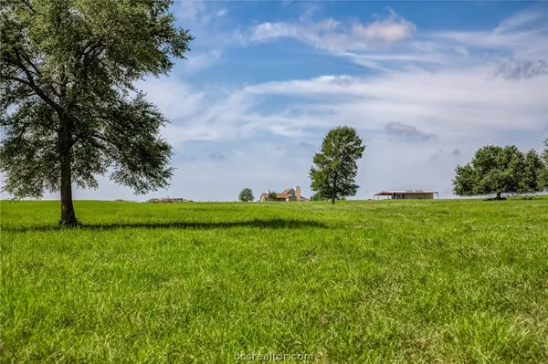 a view of a field with large trees