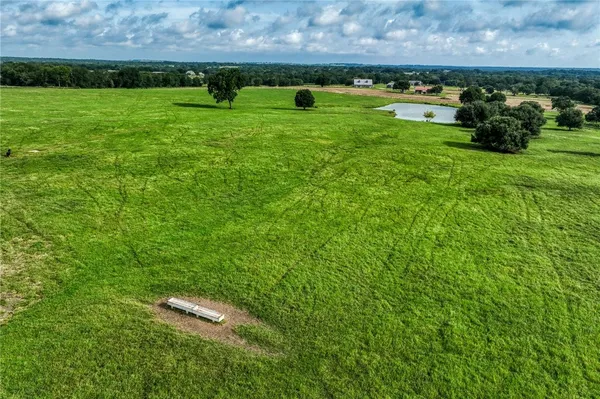 a view of a park with large trees