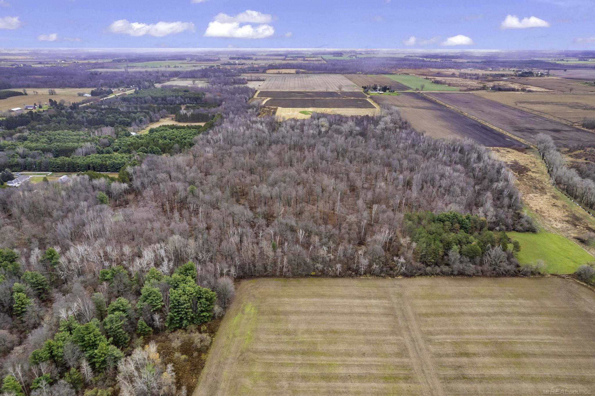 0 Brown Road Croswell, MI 48422 - Photo 8 of 8