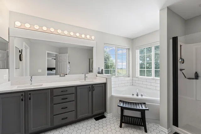 $545,000 | 25205 Pastoral Drive, Plainfield, IL 60585