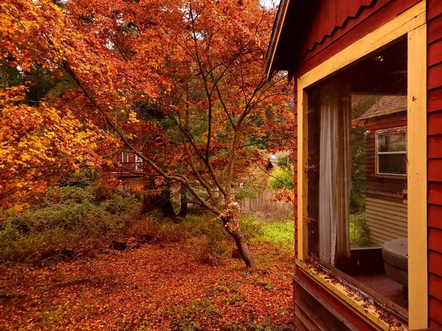 $895,000 | 785 Cathedral Drive, Aptos, CA 95003