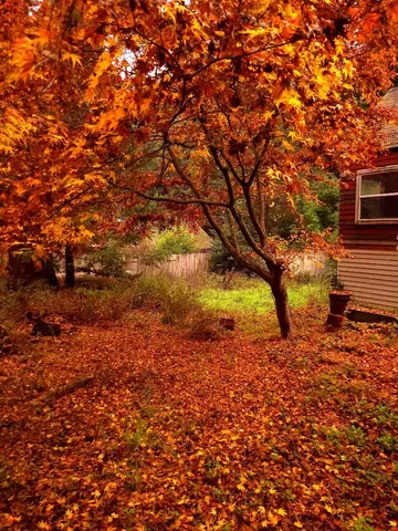 $895,000 | 785 Cathedral Drive, Aptos, CA 95003