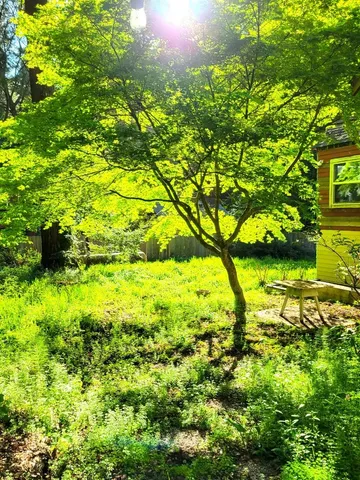 $895,000 | 785 Cathedral Drive, Aptos, CA 95003