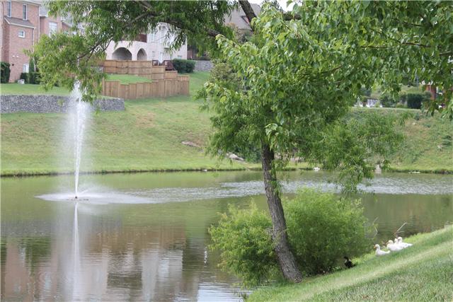 103 Ridgeview Trace Hendersonville, TN 37075 - Photo 10 of 10 Gallery Image 10
